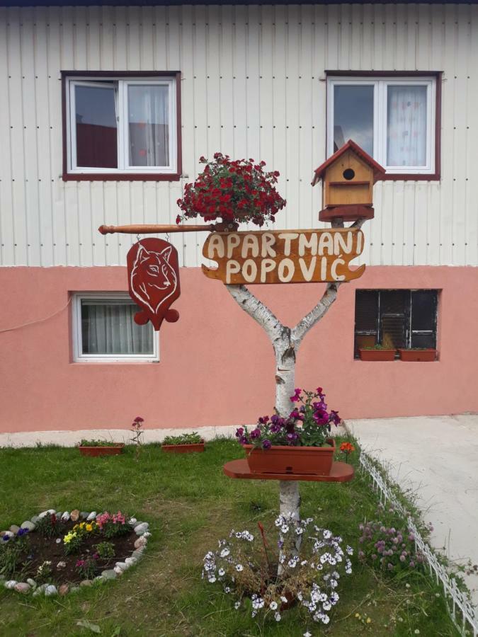 Guest house Vuk Popovic Zabljak (Zabljak)