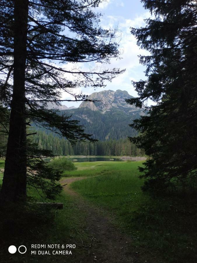 Vuk Popovic Zabljak (Zabljak)